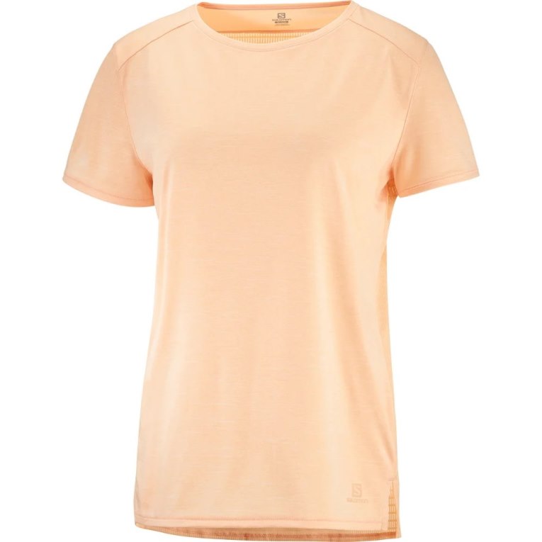 Apricot Salomon Outline Summer Short Sleeve Women's T-Shirts | PH 76425P